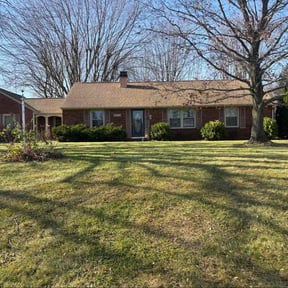 Leaf Removal by B&amp;t lawn service reviewed on November 22, 2025