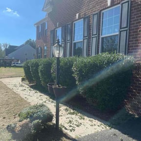 lawn care by J$ remodel reviewed on April 24, 2024