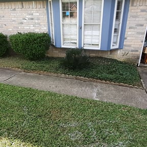 Flower Bed Weeding by Active Do It All Lawn Care reviewed on August 19, 2025