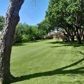 yard service by Fordson Lawn Care reviewed on August 16, 2025