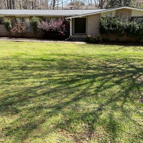 Leaf Removal by Local Green Lawn Care LLC reviewed on August 16, 2025