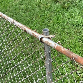 Bush Trimming by Text 2 Cut Lawn Care LLC reviewed on August 17, 2025