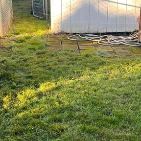 lawn maintenance by Freshcoat reviewed on May 13, 2024