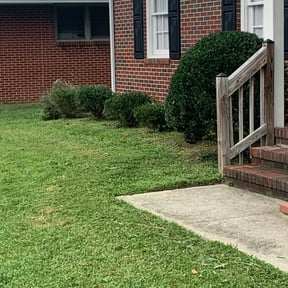 Bush Trimming by E-Lawncare reviewed on August 19, 2025
