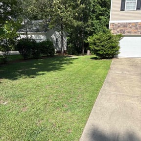 yard care by Rid of it reviewed on August 19, 2025