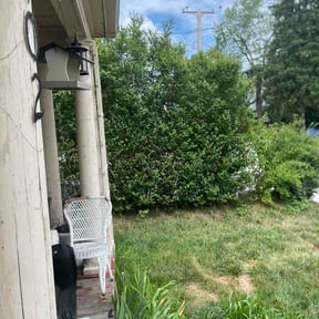 Bush Trimming by USA Lawncare reviewed on July 16, 2026
