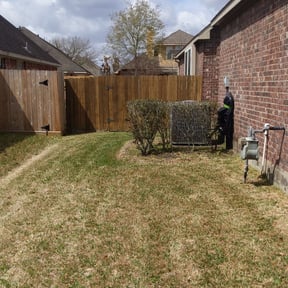 Bush Trimming by KCT Landscaping reviewed on August 16, 2025