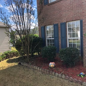 Bush Trimming by Micks Mowing reviewed on August 15, 2025