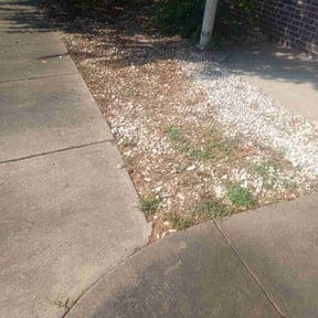 Flower Bed Weeding by Edgar reviewed on December 6, 2025