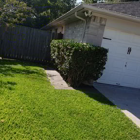 Bush Trimming by Alexis perez reviewed on August 18, 2025