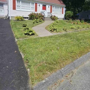 Long Grass Cleanup by Clean Cut Land Management reviewed on August 15, 2025