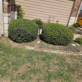 Bush Trimming by Green T's Lawn &amp; Landscape reviewed on March 26, 2026