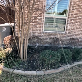 Bush Trimming by A-1 Affordable Lawn Care reviewed on August 19, 2025