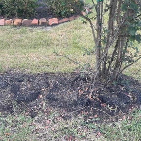 Flower Bed Weeding by Southern lawn illusionists reviewed on September 3, 2026