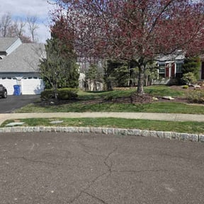 residential landscaping by Collins Professional Landscape reviewed on August 18, 2025