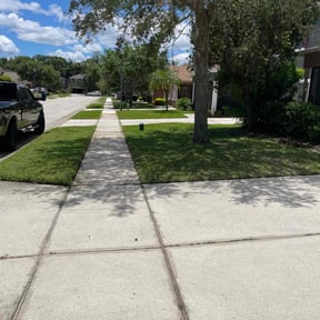 turf maintenance by Steven lawn care reviewed on May 1, 2024