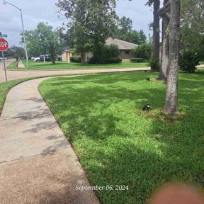 landscaping by Transit LLC reviewed on August 16, 2025