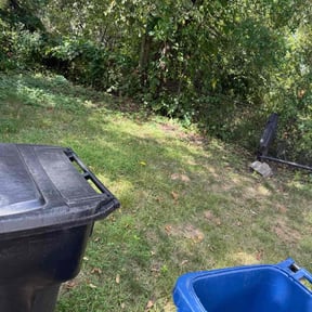 Flower Bed Weeding by Chai reviewed on June 27, 2022