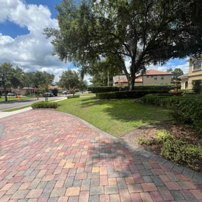 grass cutting by Green Oasis Lawn Care reviewed on August 19, 2025