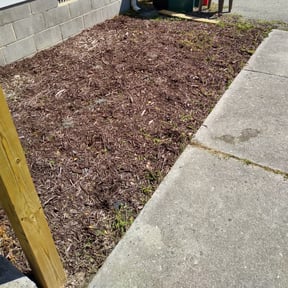 Flower Bed Weeding by David's lawn care reviewed on August 20, 2025