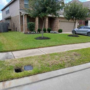 Long Grass Cleanup by First Landscape reviewed on January 1, 2026