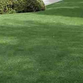 landscaping services by Mike's Lawncare Service reviewed on August 15, 2025