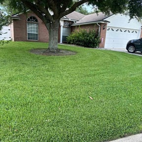 landscaping services by House of leonidas reviewed on August 20, 2025