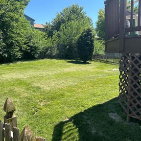 grass maintenance by C Holzinger Construction reviewed on May 15, 2024
