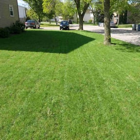 landscaping services by MM Lawn Cutting reviewed on August 15, 2025