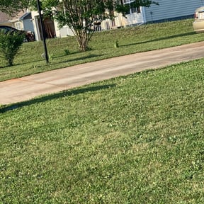 Bush Trimming by L&D Lawn Care Inc. reviewed on August 15, 2025