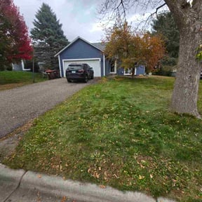 Leaf Removal by CB Lawncare reviewed on November 4, 2025