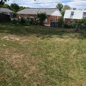 Bush Trimming by Zac of All Trades reviewed on July 26, 2022