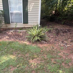 Bush Trimming by Hicks lawn care reviewed on October 19, 2025