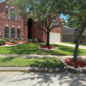 yard care by NatureIsland Lawn Care reviewed on August 19, 2025