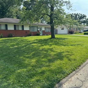 yard maintenance by ABM ALL AROUND SERVICES reviewed on August 21, 2025
