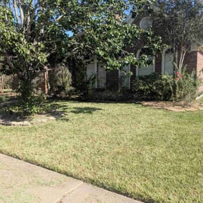 Flower Bed Weeding by Berber Industries Landscaping reviewed on November 19, 2025