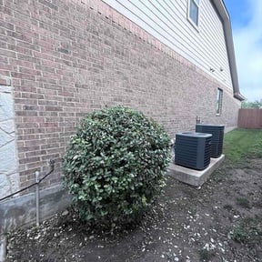 Bush Trimming by Perfect Lawns reviewed on May 30, 2026