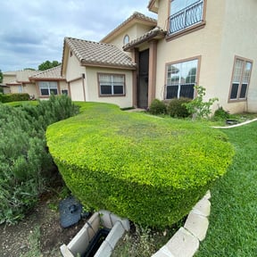Bush Trimming by Tonys Landscaping LLC reviewed on August 21, 2025