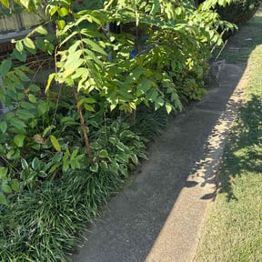 Flower Bed Weeding by ATS Enterprise reviewed on November 20, 2025