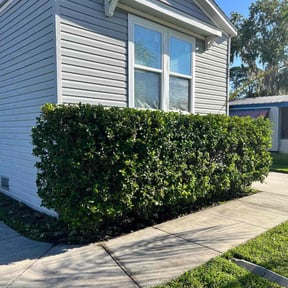 Bush Trimming by Elite Lawn Care reviewed on August 15, 2025
