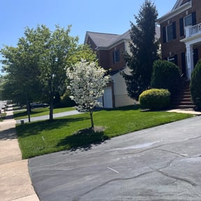 yard service by Cody Jenkins Landscaping  reviewed on November 22, 2025