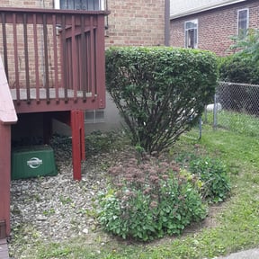 Bush Trimming by R&l lawn care reviewed on August 21, 2025