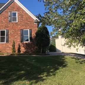 Bush Trimming by Keith Vickers reviewed on August 16, 2025