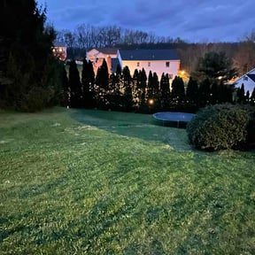Bush Trimming by TG Contractors LLC reviewed on April 15, 2026