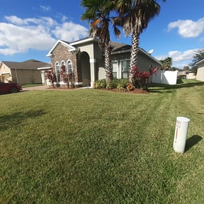 Bush Trimming by Byers Lawn reviewed on August 20, 2025