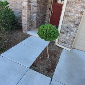 Flower Bed Weeding by Forge Property Services reviewed on August 20, 2025