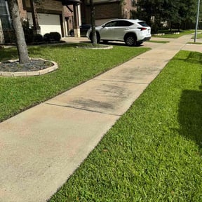 landscaping services by Landscaping by Jay reviewed on November 24, 2025