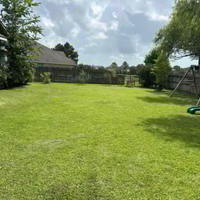 lawn care services by XPRESS LAWN CARE reviewed on August 17, 2025