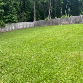 yard care by dustin's lawncare service reviewed on August 15, 2025