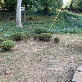 Flower Bed Weeding by Gregory Lawn Service LLC reviewed on August 21, 2025